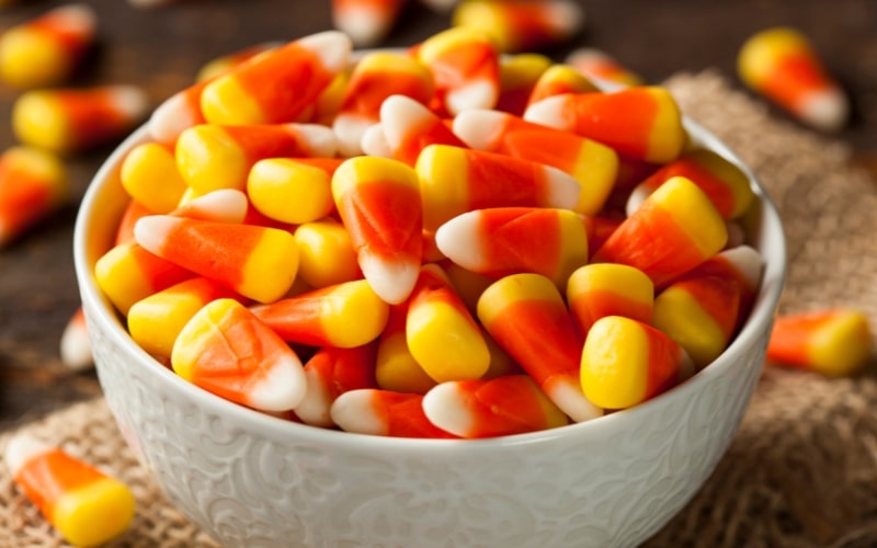 15 Creative Halloween Gift Basket Ideas for Friends