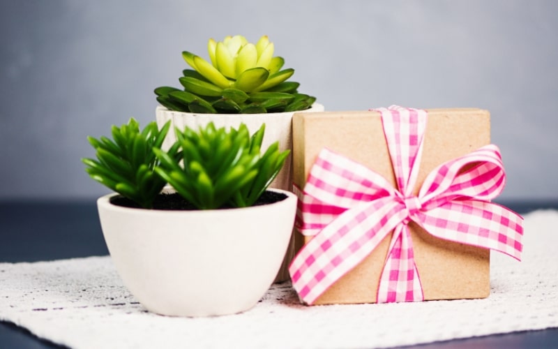 15 Spook-tacular Halloween Gifts for Coworkers